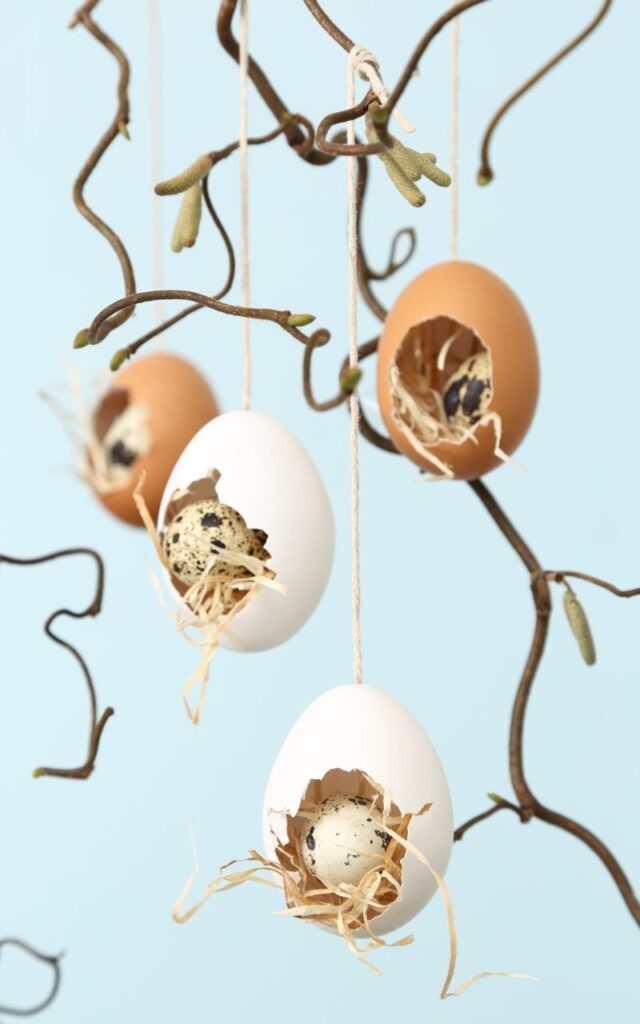 Diseño de Nidos De Pajaritos con cascara de huevo